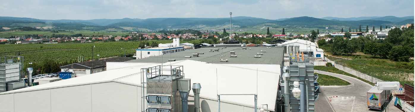Elektronische Rechnungslegung